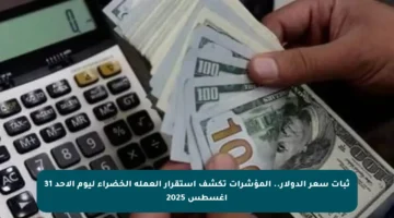 ثبات سعر الدولار.. المؤشرات تكشف استقرار العملة الخضراء ليوم الأحد 31 أغسطس 2025